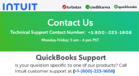 QuickBooks Help Support Number [HelpDesk].png